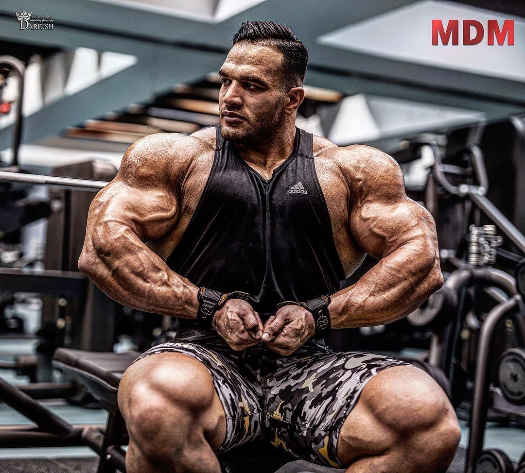 Mohsen Samadi