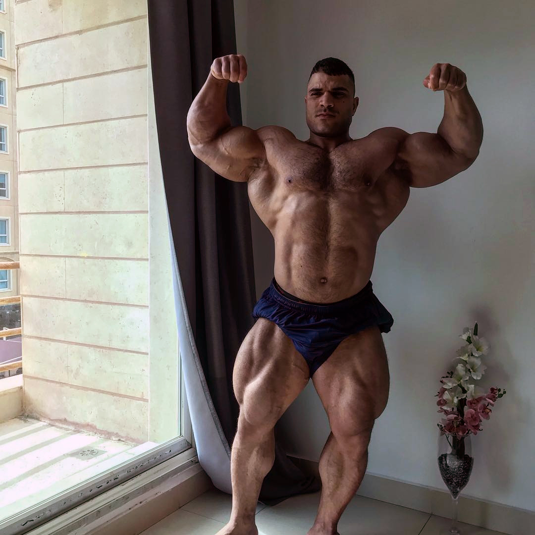 Hassan Mostafa