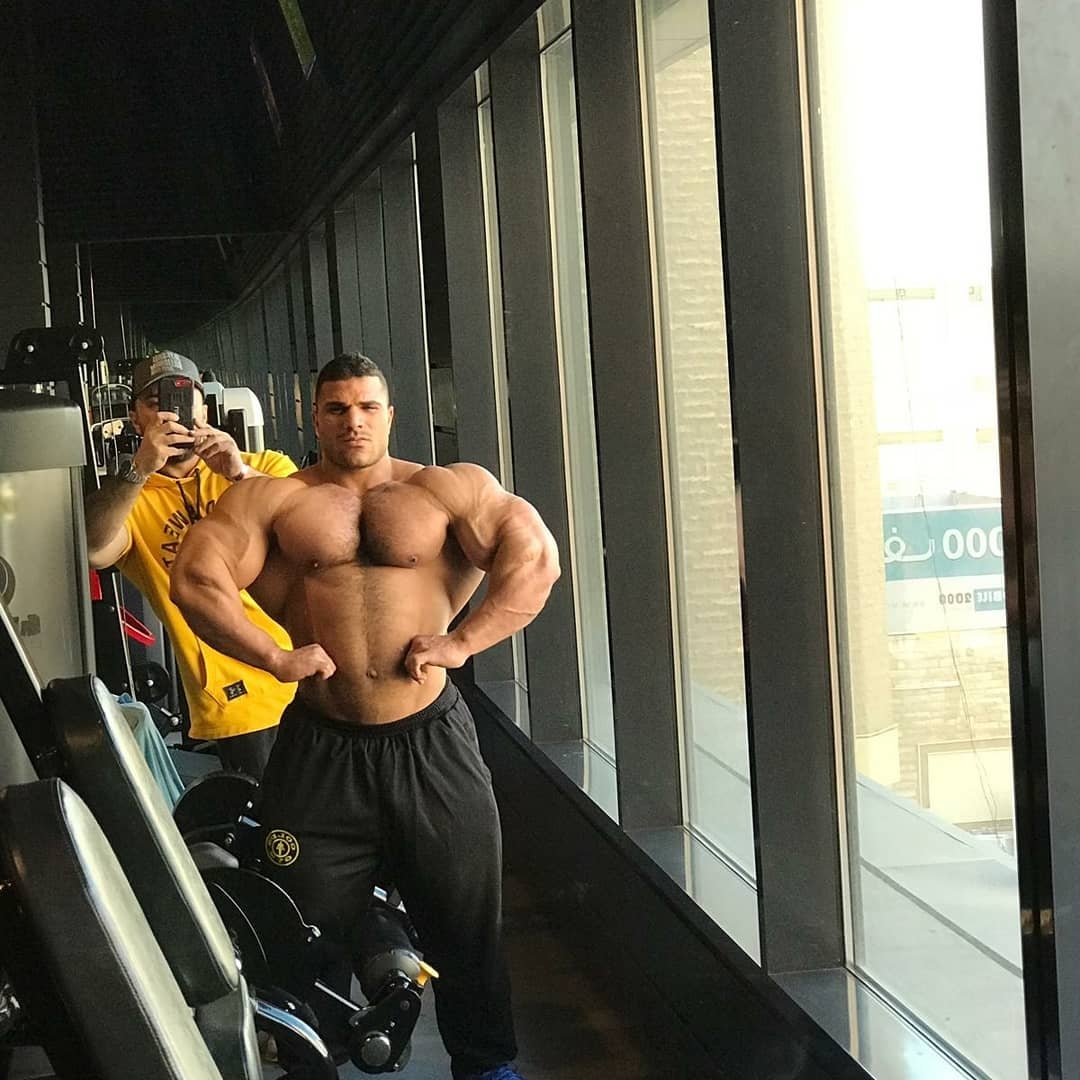 Hassan Mostafa