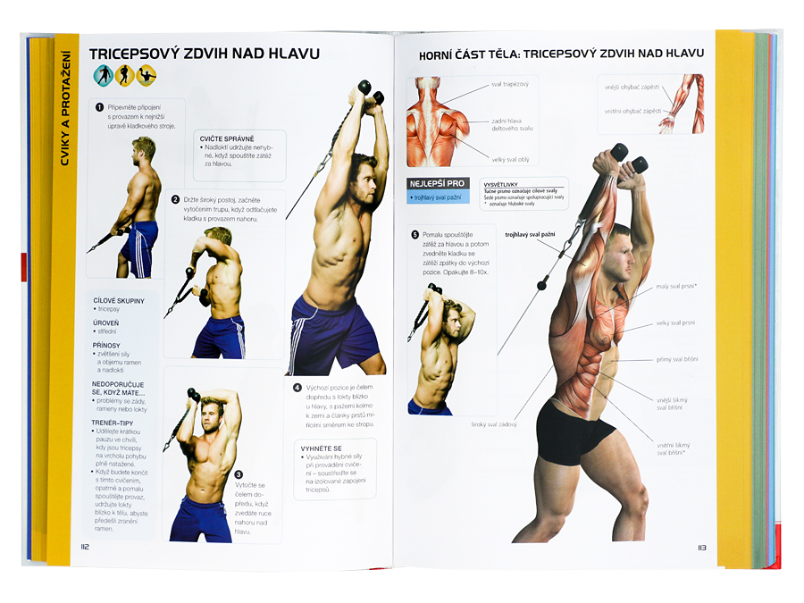 Encyklopedie posilov�n� - anatomie