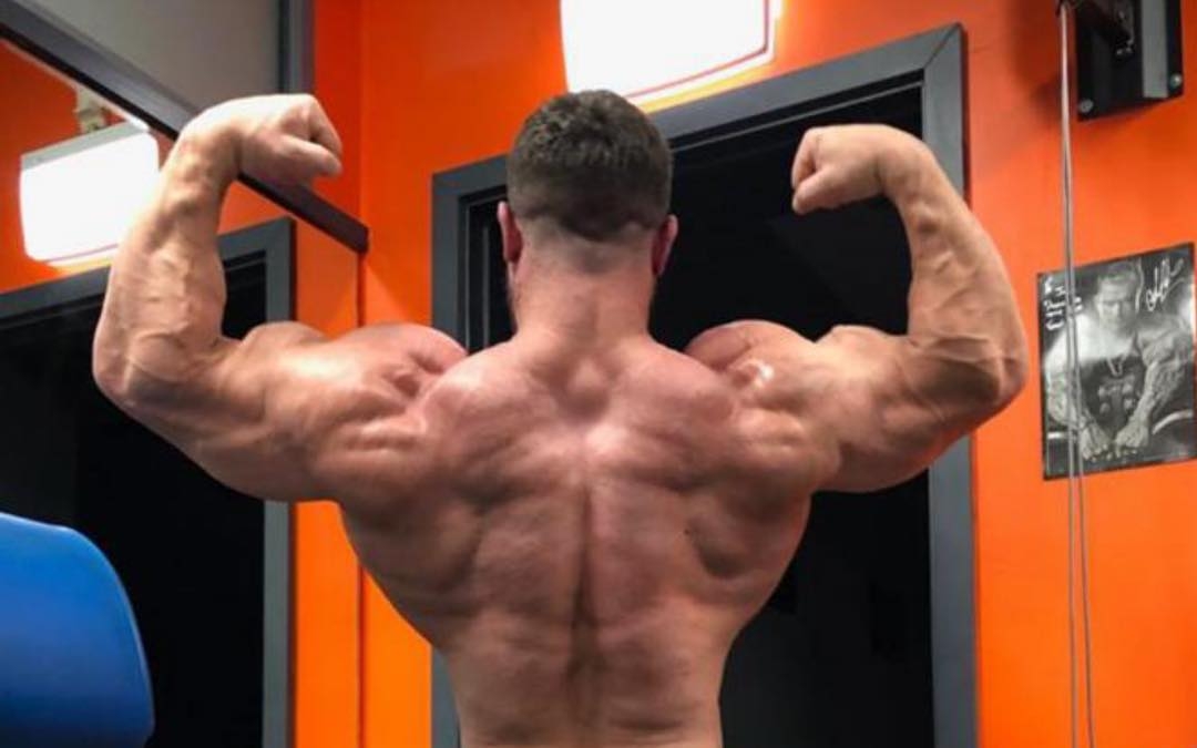 Jake Nikolopoulos