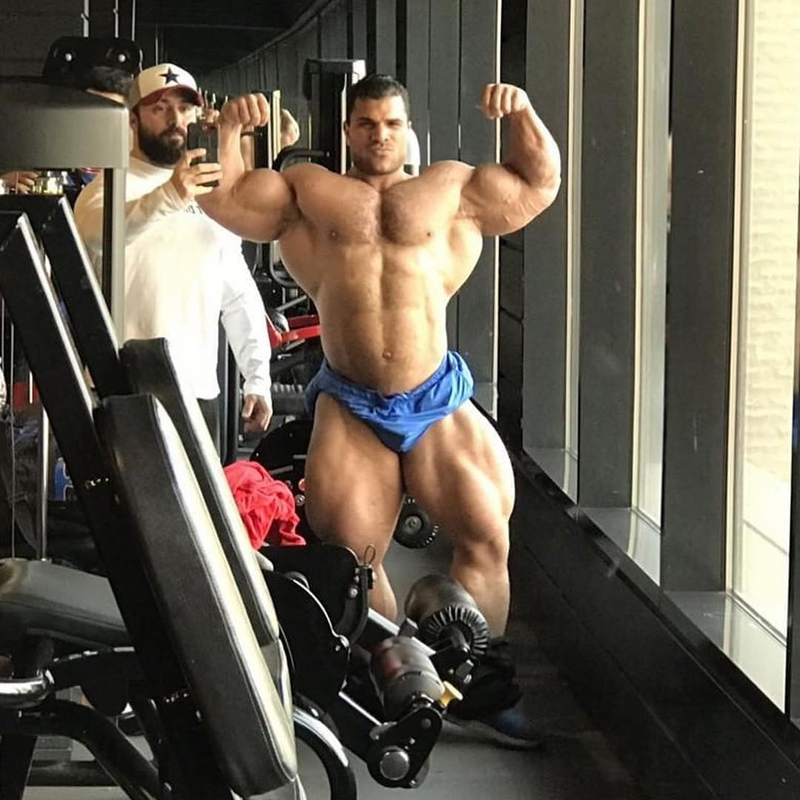 Hassan Mostafa