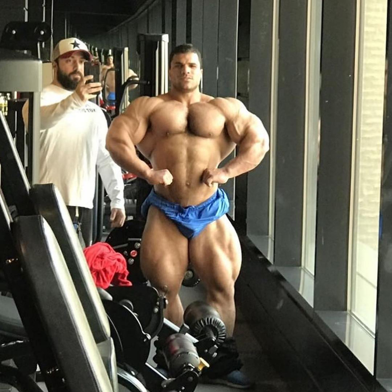 Hassan Mostafa