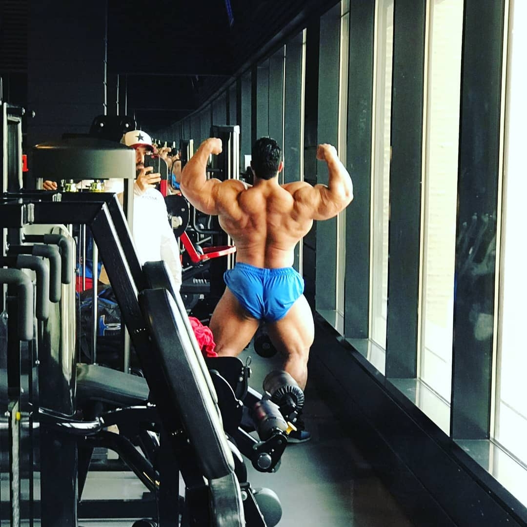Hassan Mostafa