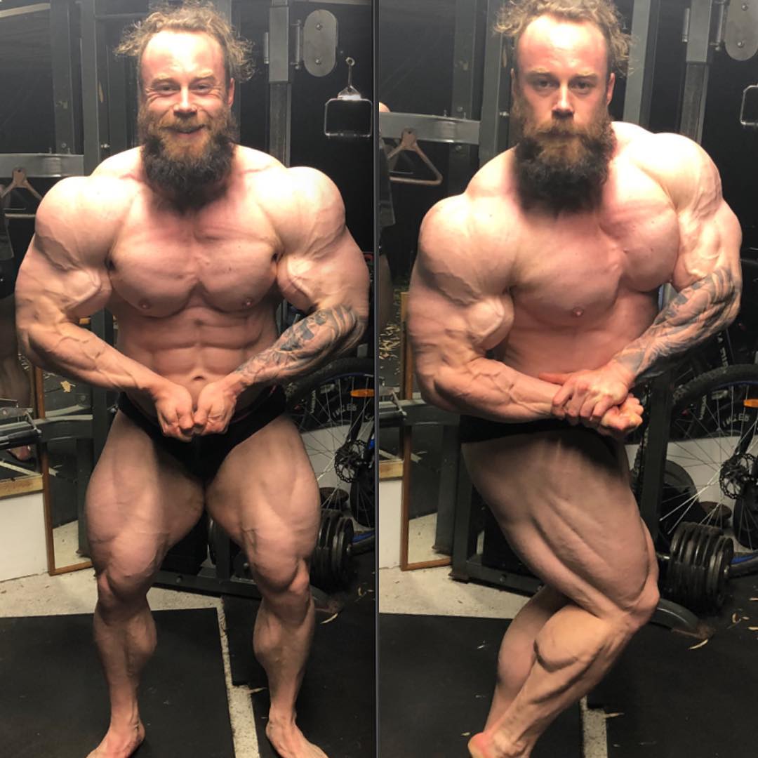 Steve Orton