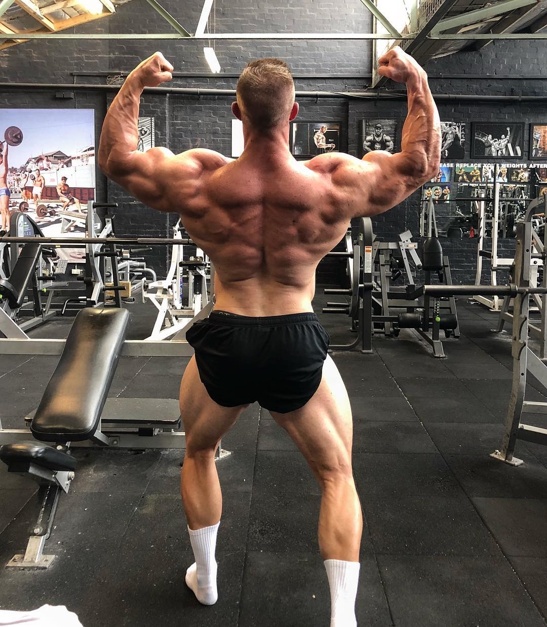 Ross Moloney