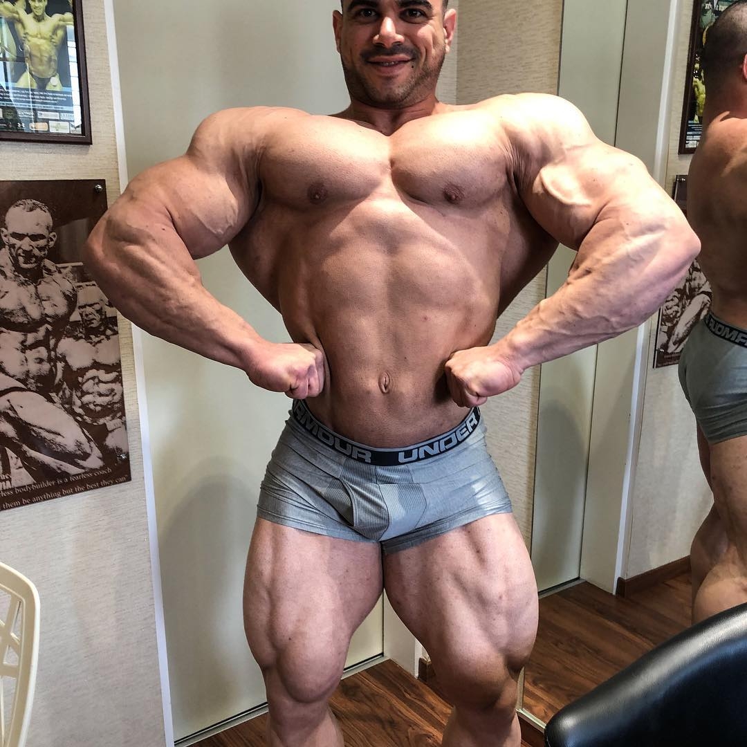 Sahar Kazes