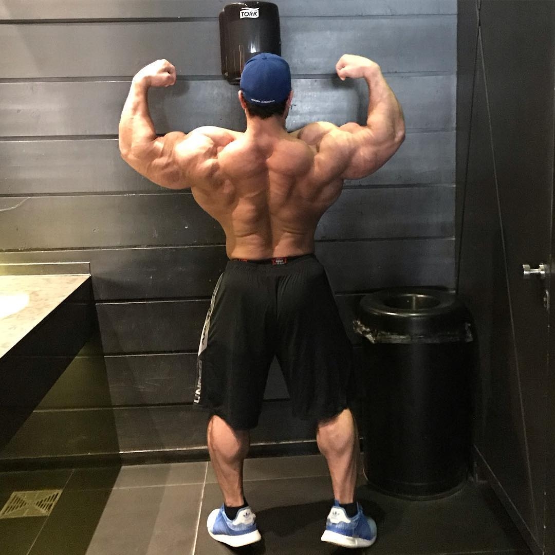 Hassan Mostafa