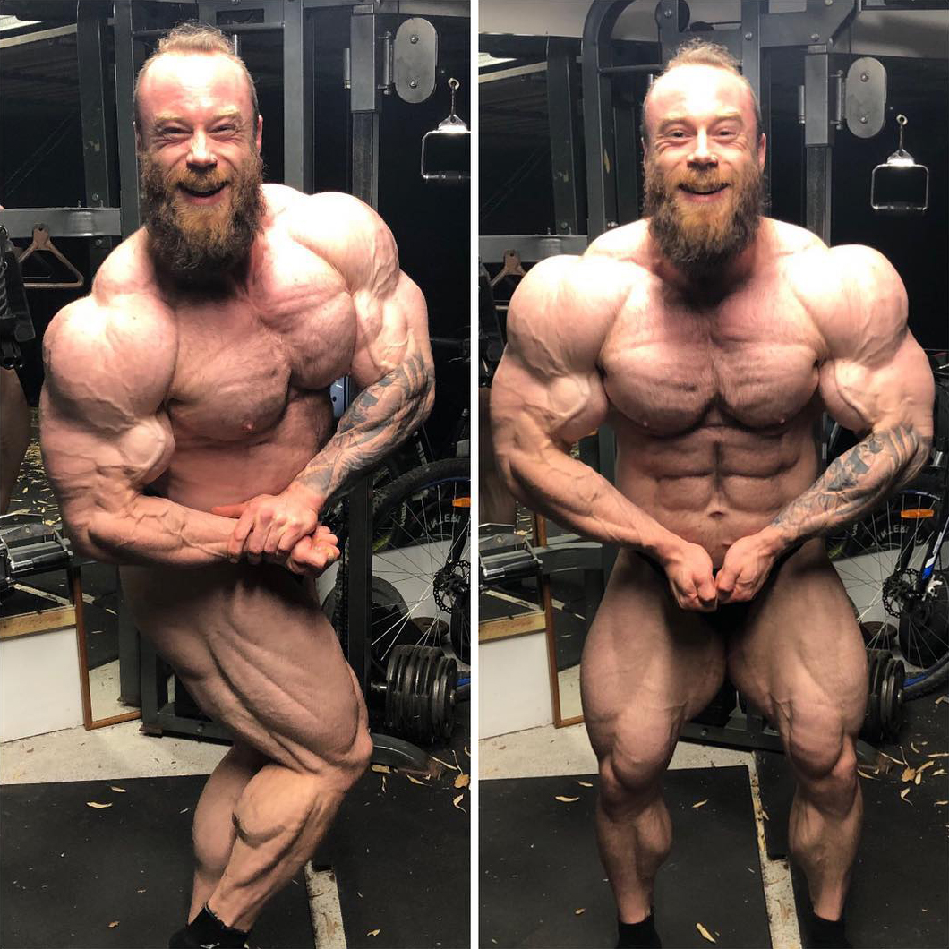 Steve Orton