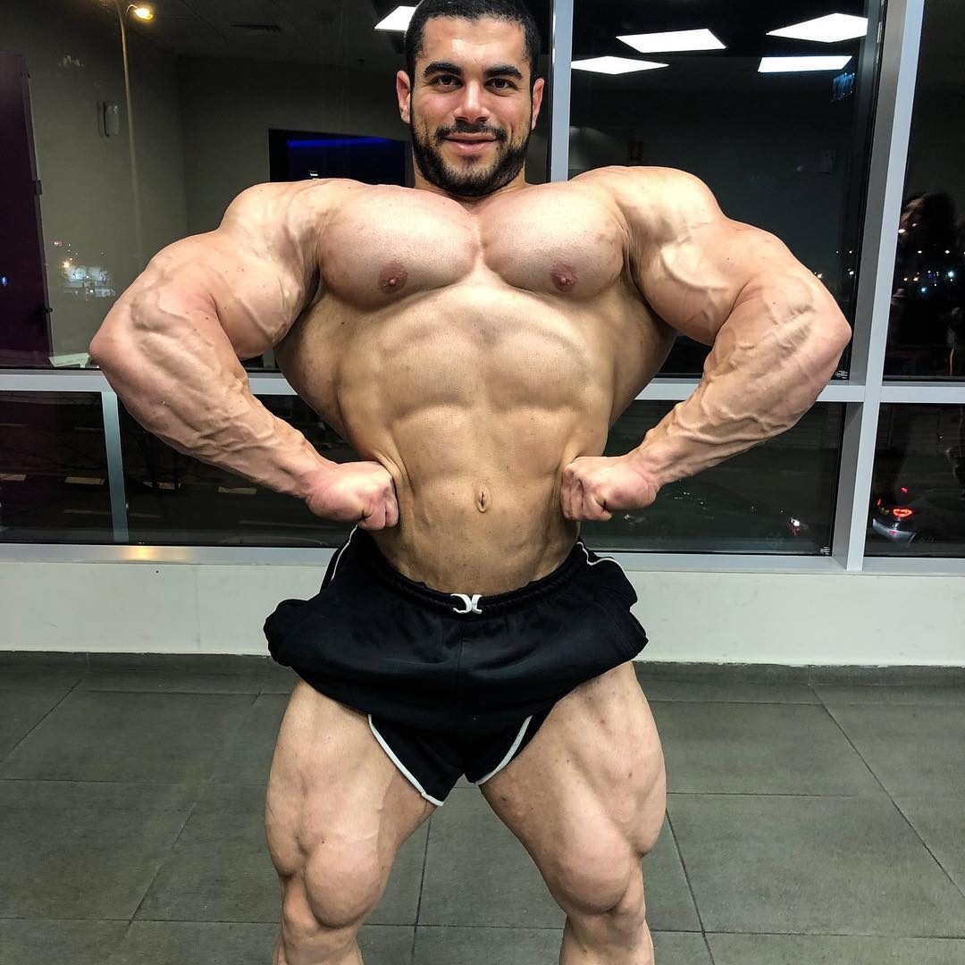 Sahar Kazes