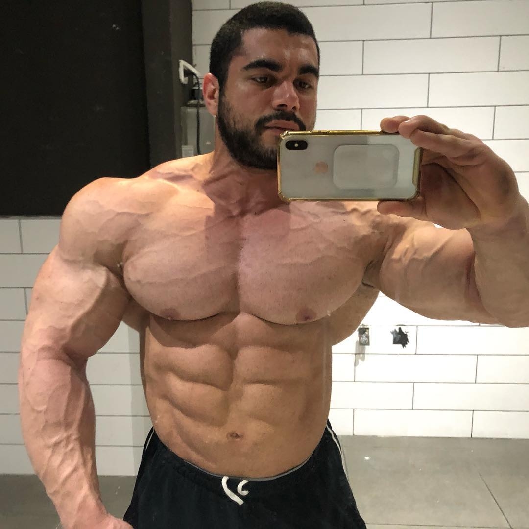 Sahar Kazes