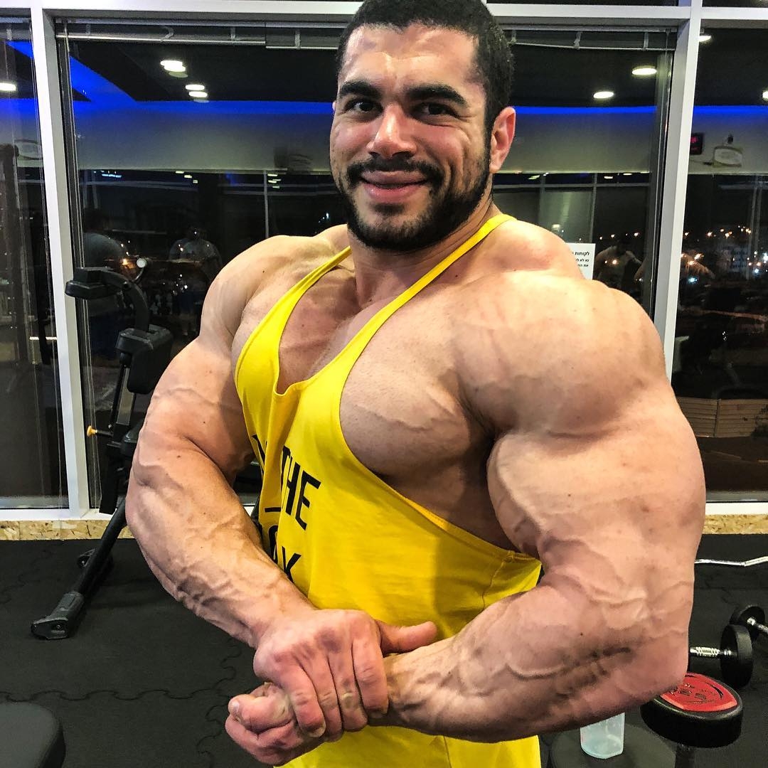 Sahar Kazes
