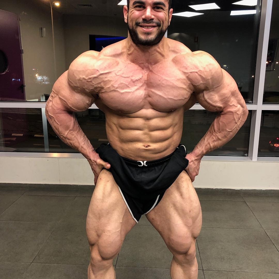 Sahar Kazes