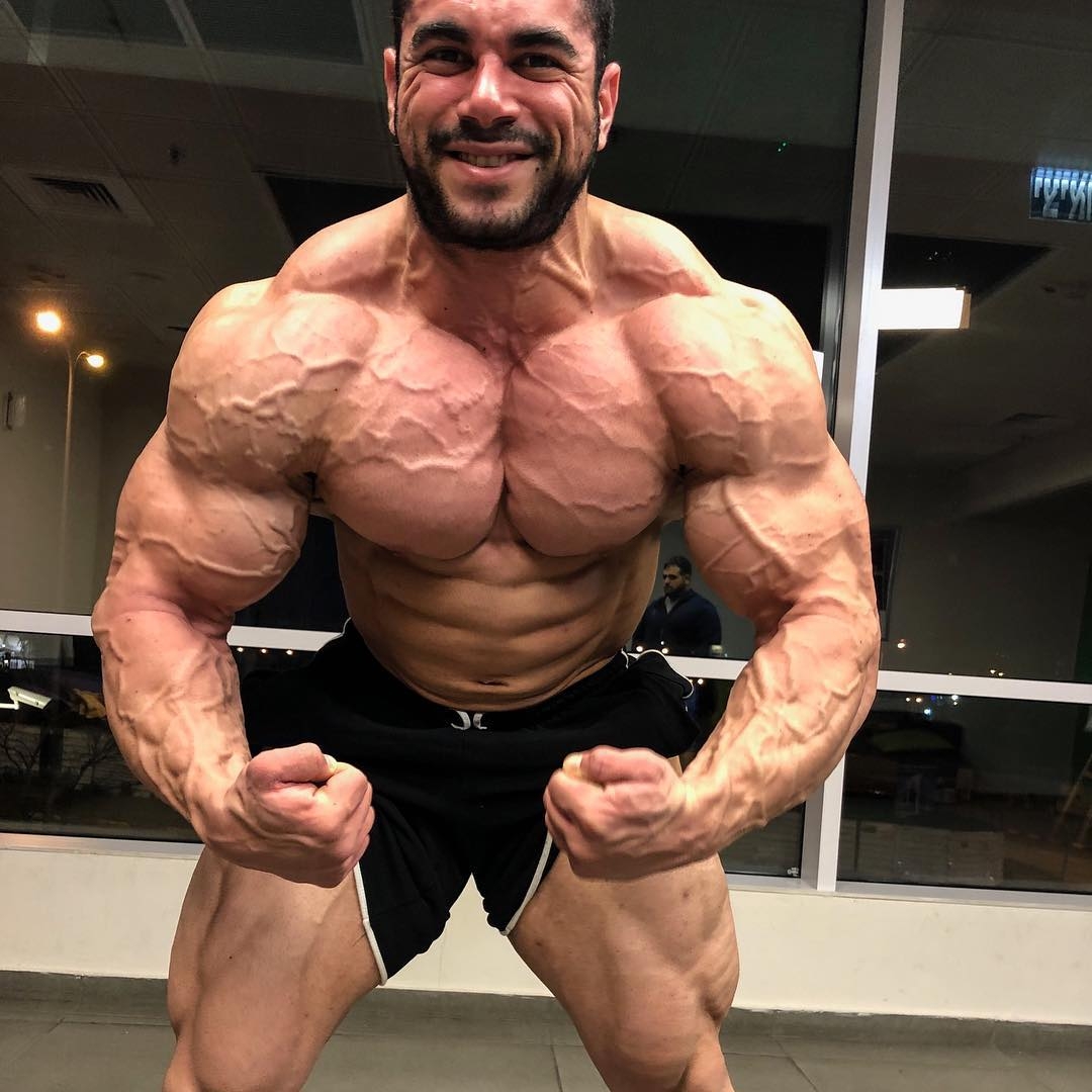 Sahar Kazes