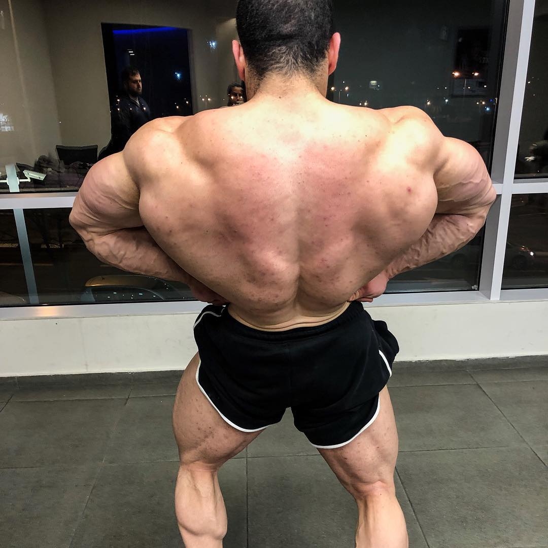 Sahar Kazes