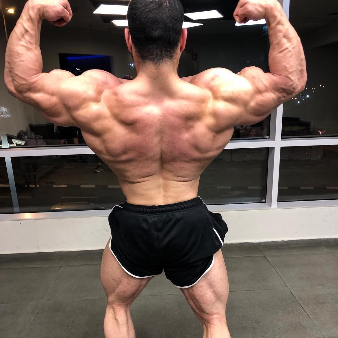 Sahar Kazes