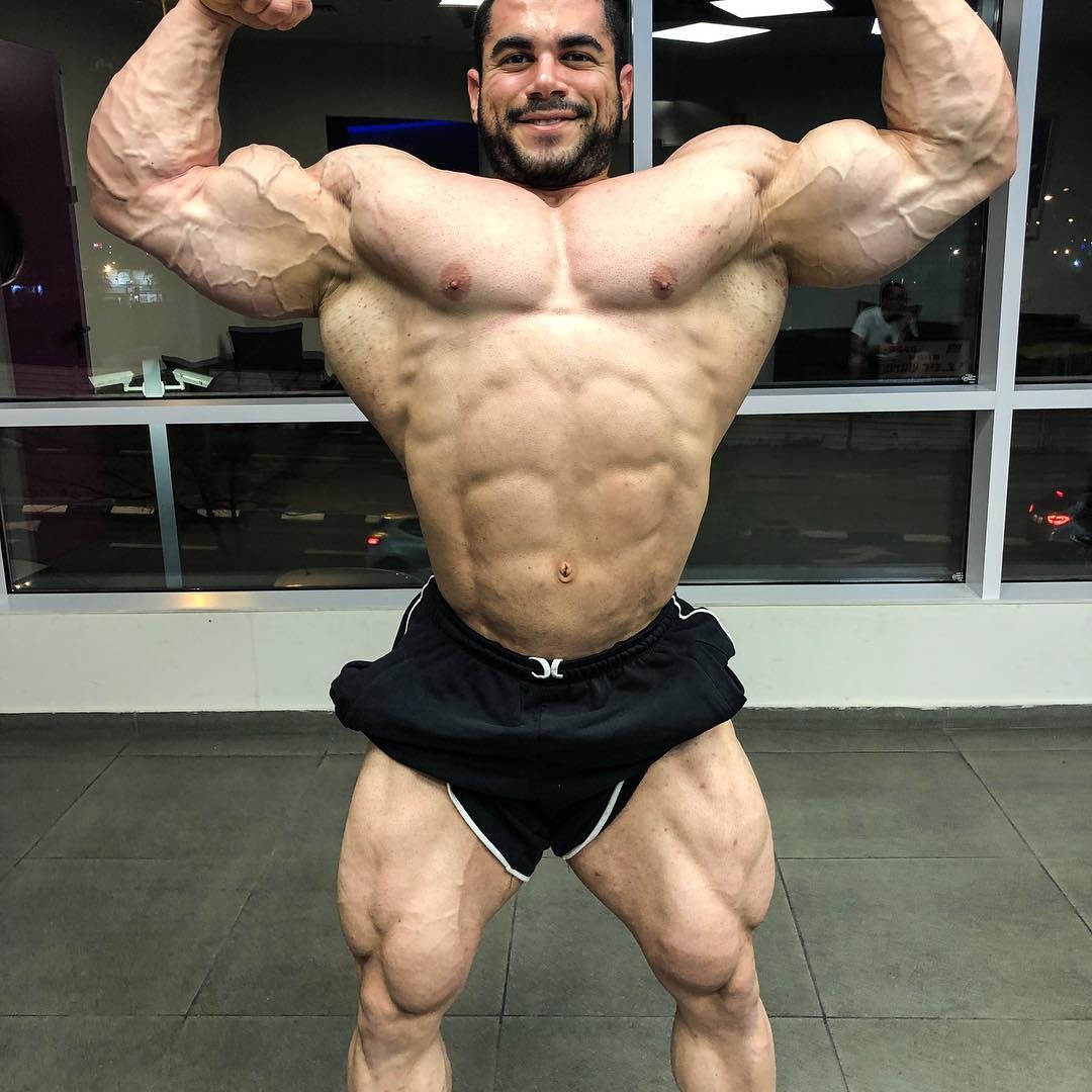 Sahar Kazes