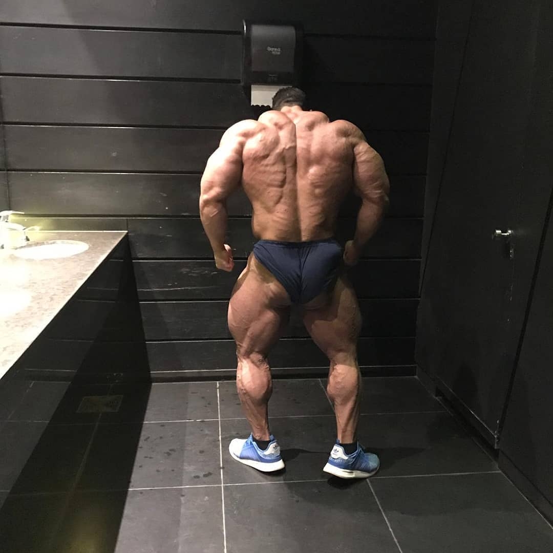 Hassan Mostafa