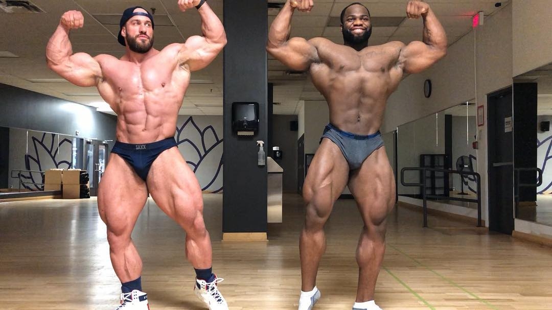 Antoine Vaillant, Quinton Eriya
