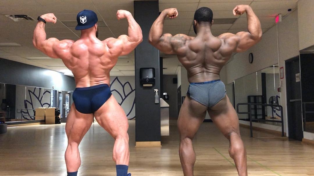 Antoine Vaillant, Quinton Eriya
