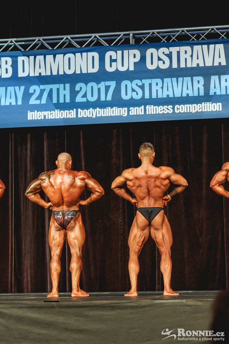�Artur Koziel, Anton�n Hodan�