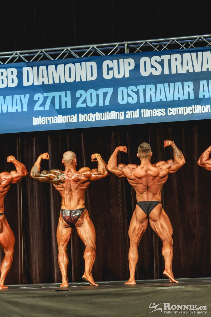 �Artur Koziel, Anton�n Hodan�
