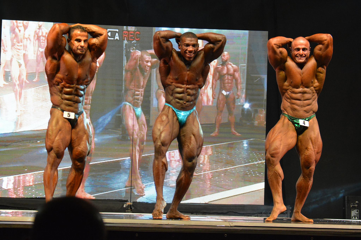 Ahmed Wardany, Fahad Zaid, Jafar Ghaffar Nezhad