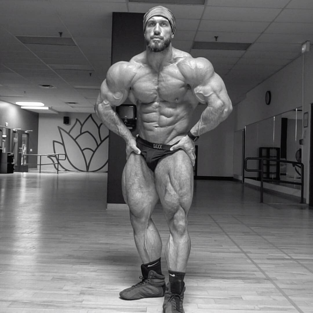 Antoine Vaillant