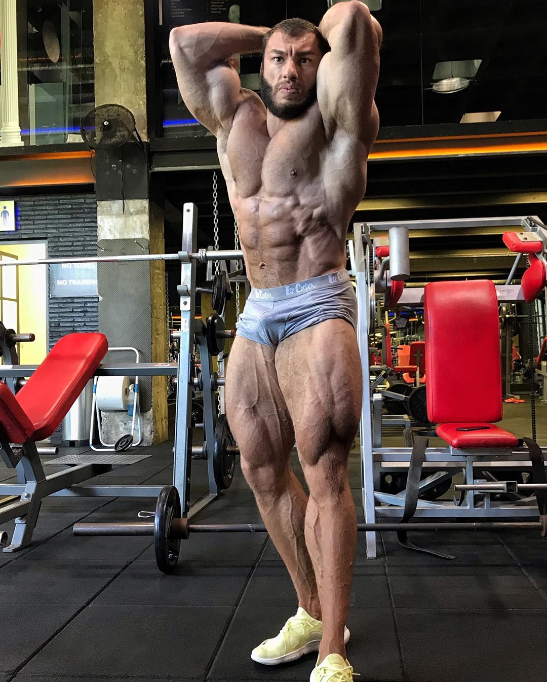 Dan Cristian