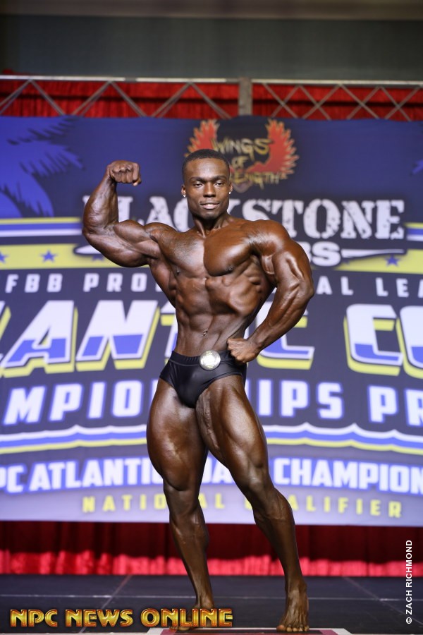 Dancovea Anderson�