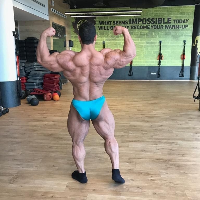 Hassan Mostafa