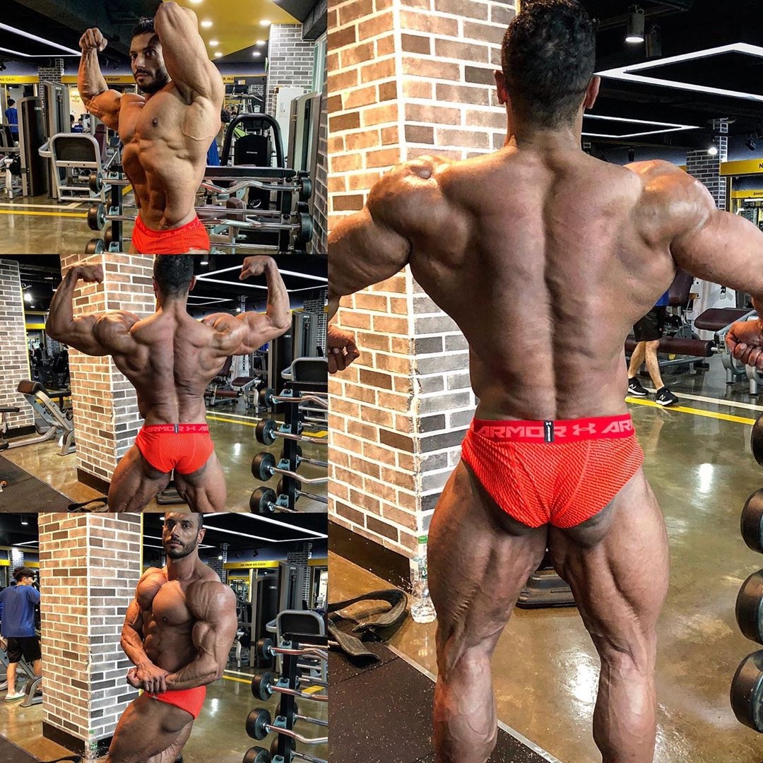 Hany Saeed
