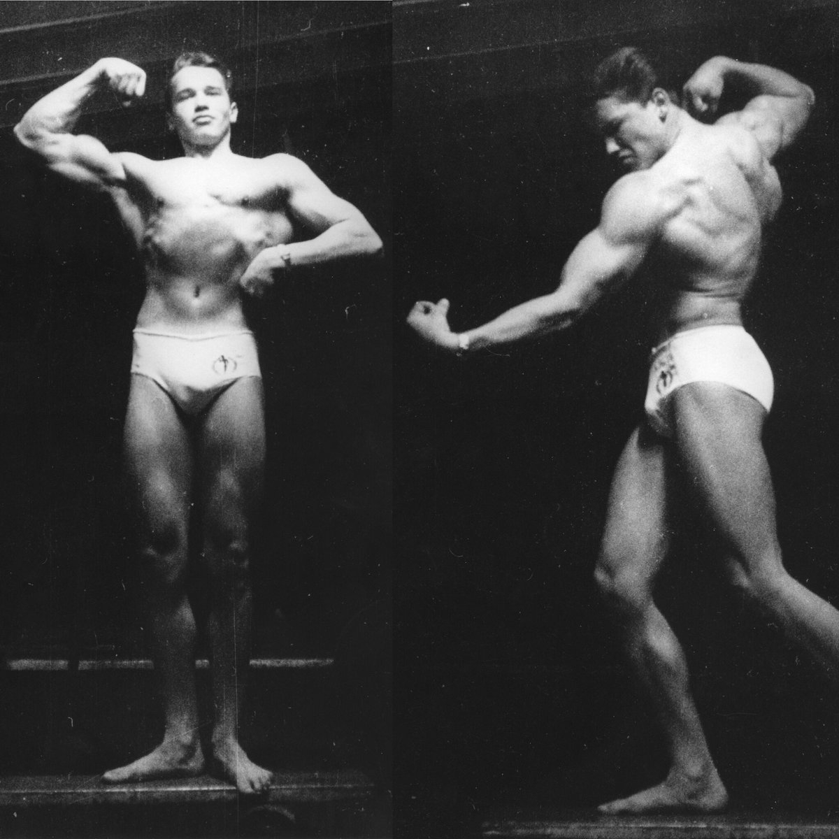 Arnold Schwarzenegger
