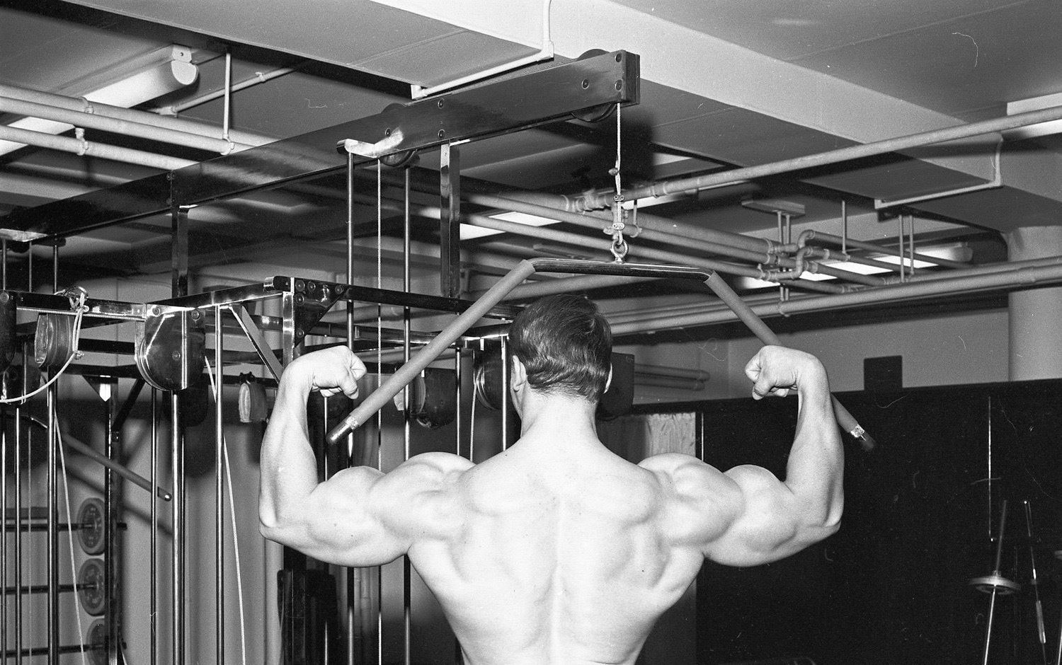 Arnold Schwarzenegger