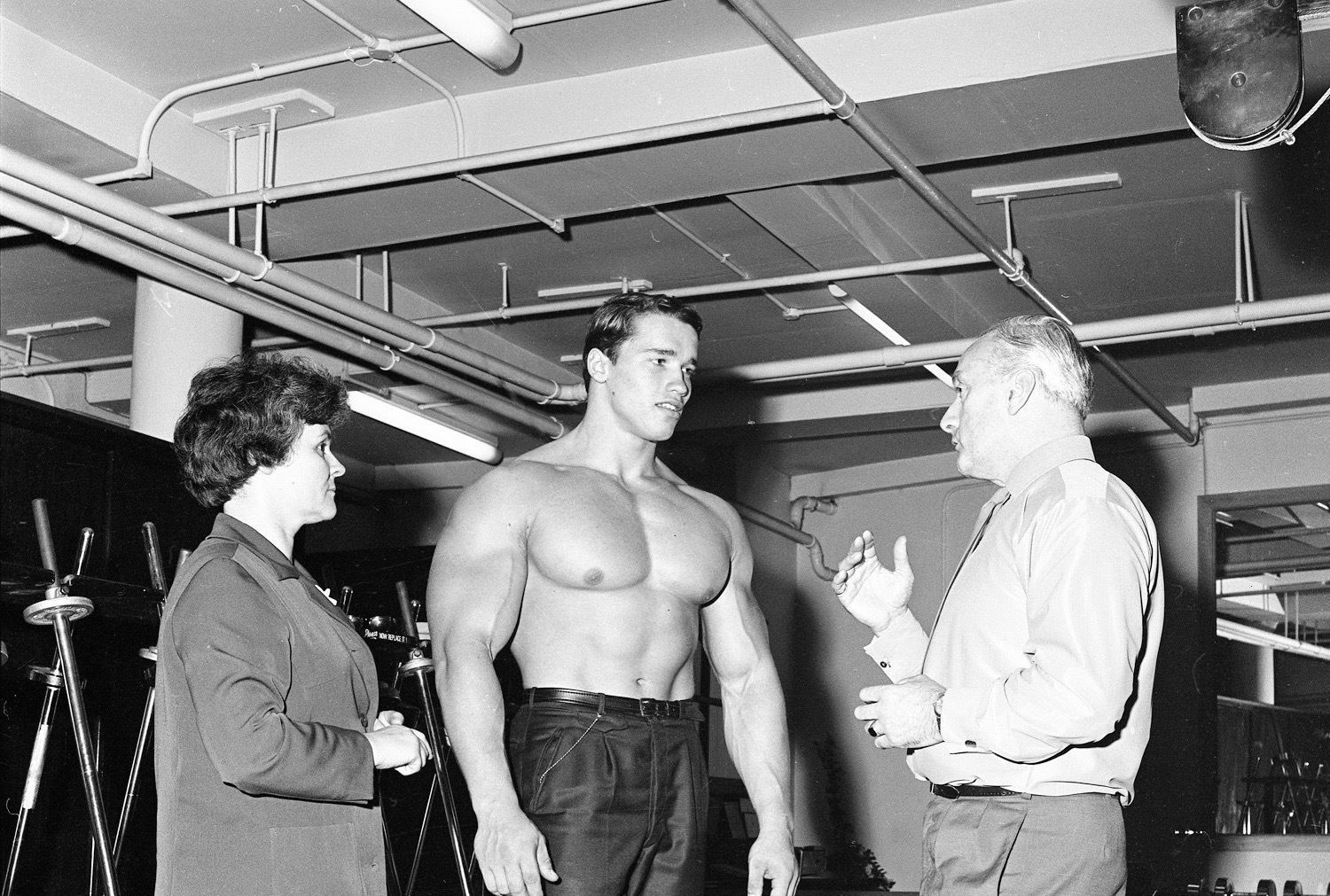 Arnold Schwarzenegger