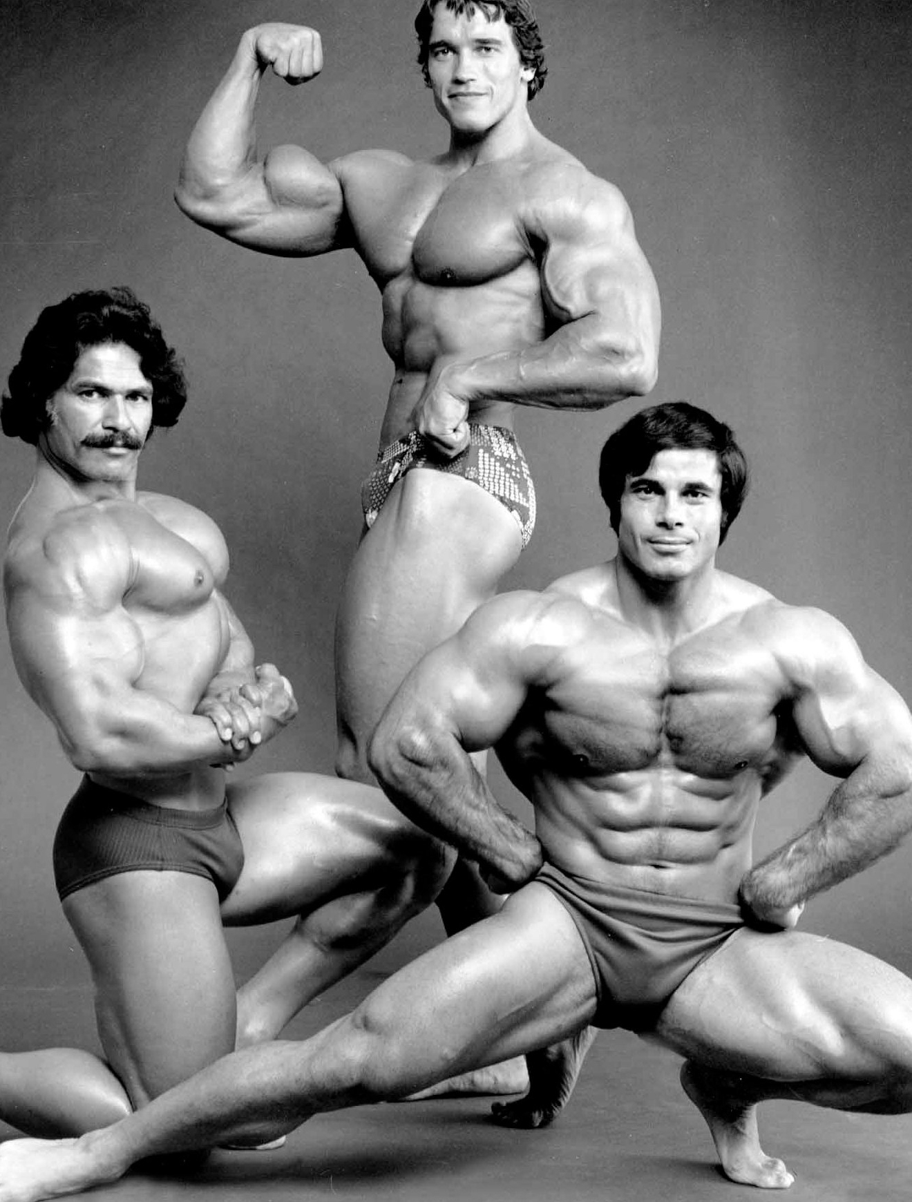 Ed Corney, Arnold Schwarzenegger, Franco Columbu��