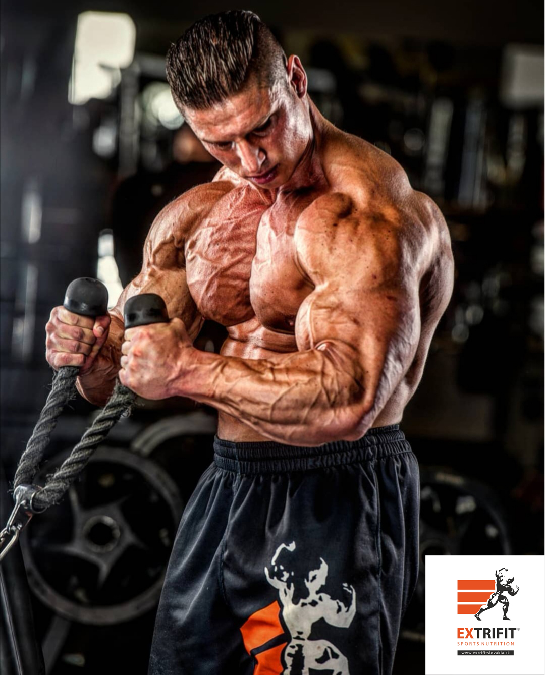 Tom� Taba�iar 7 dn� p�ed Olympia 212 Showdown 2019