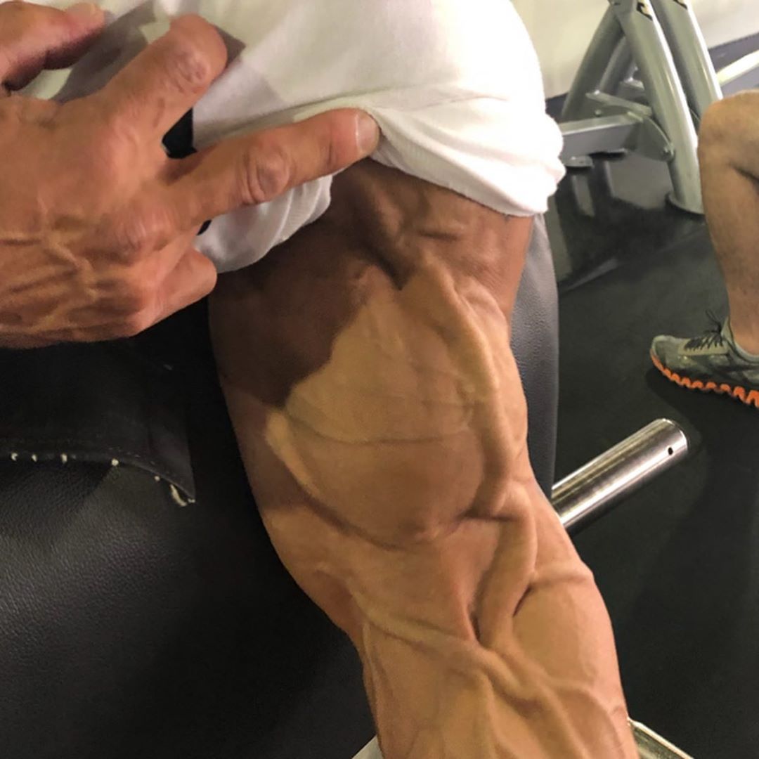 Hidetada Yamagishi