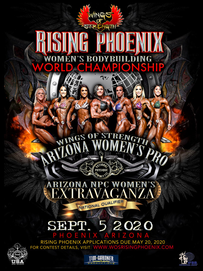 Plak�t k Wings of Strength
