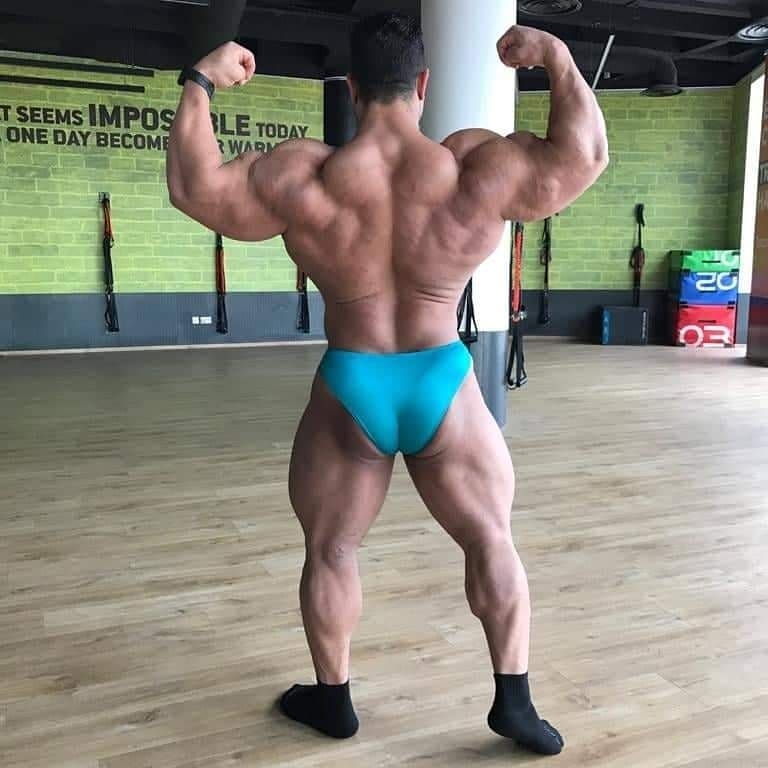 Hassan Mostafa