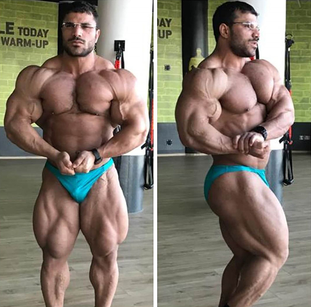 Hassan Mostafa