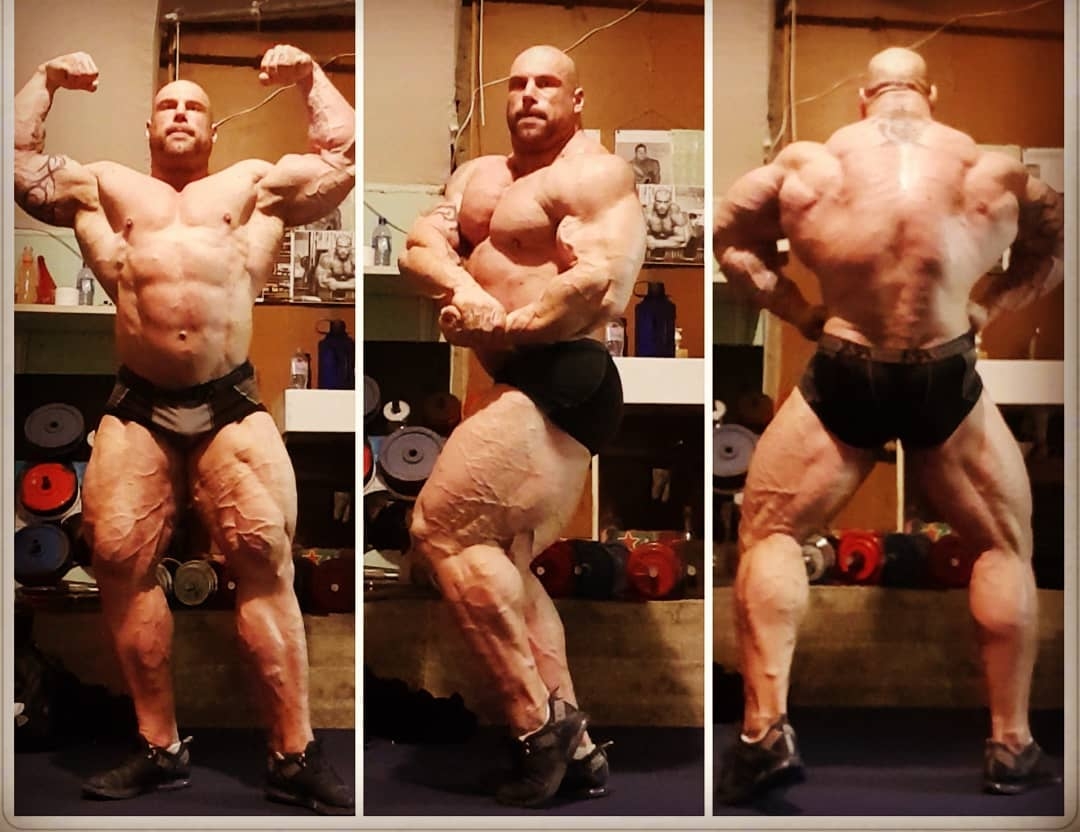 Morgan Aste