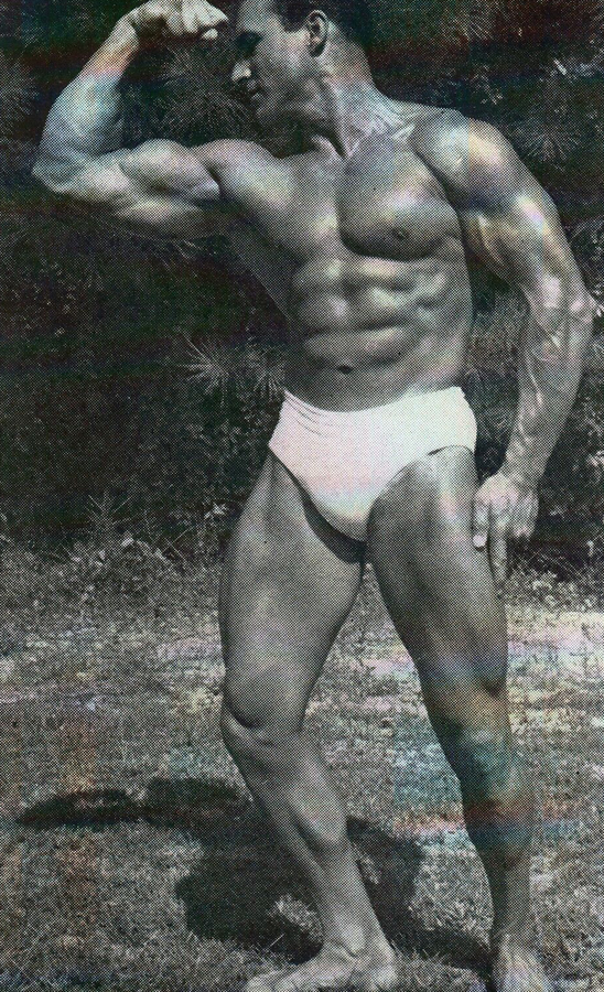 Harry Johnson