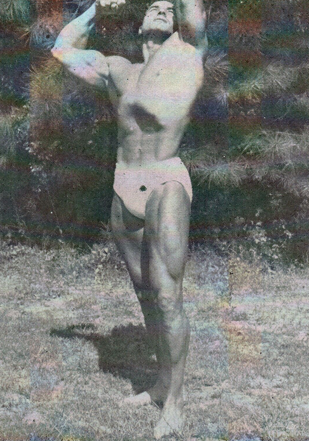 Harry Johnson