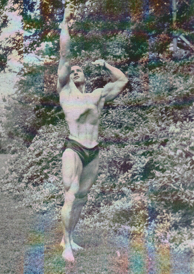 Harry Johnson