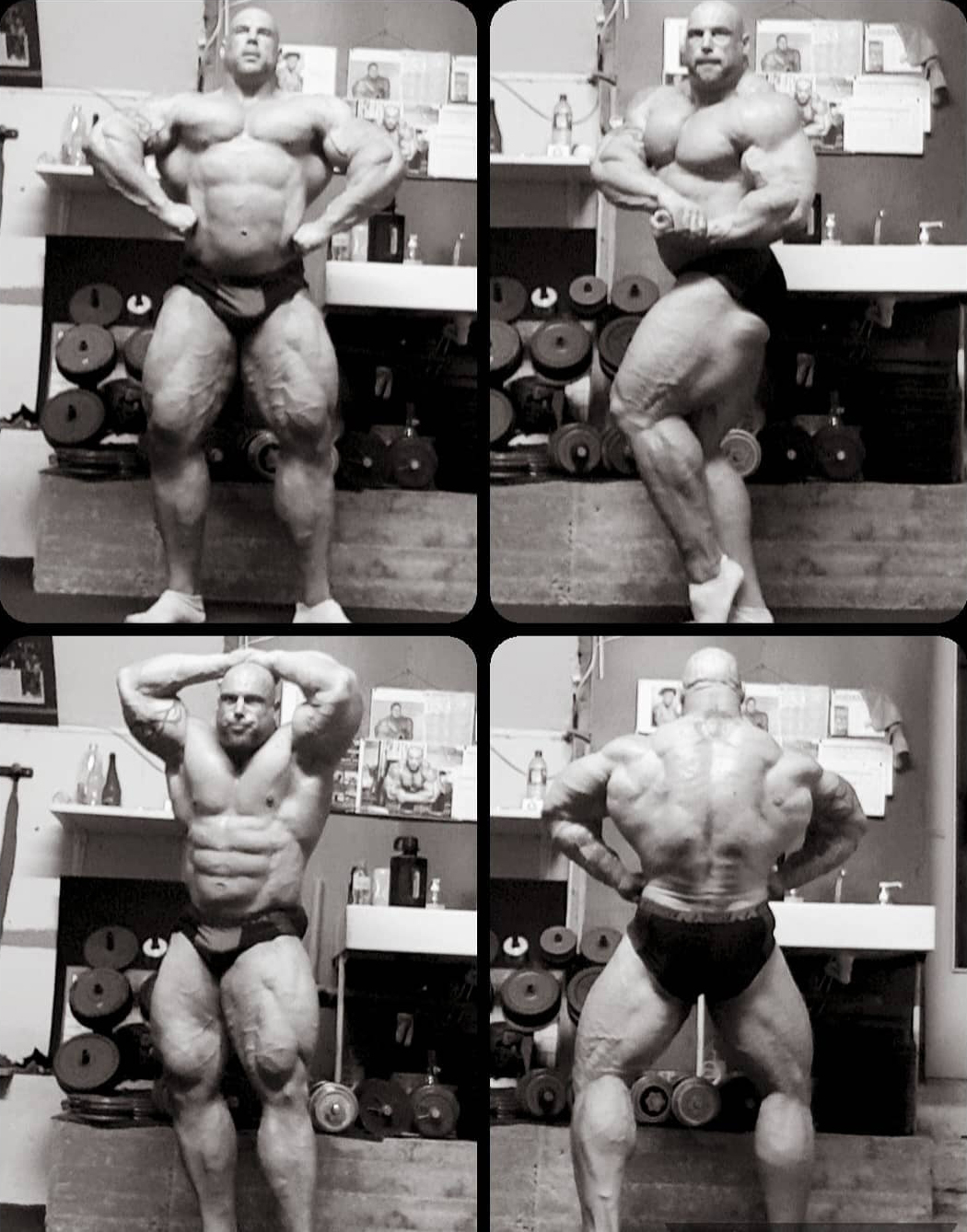 Morgan Aste