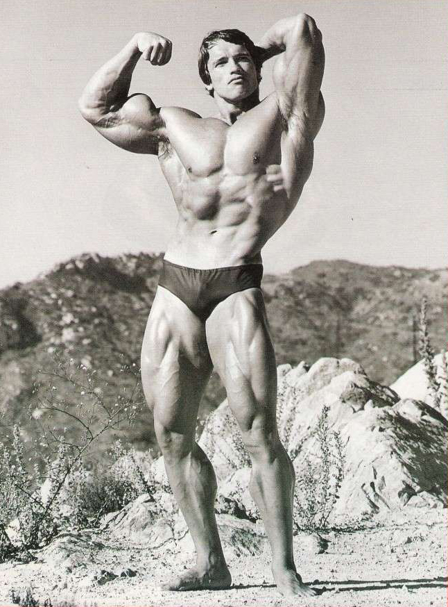 Arnold Schwarzenegger