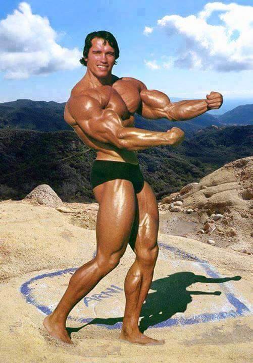 Arnold Schwarzenegger