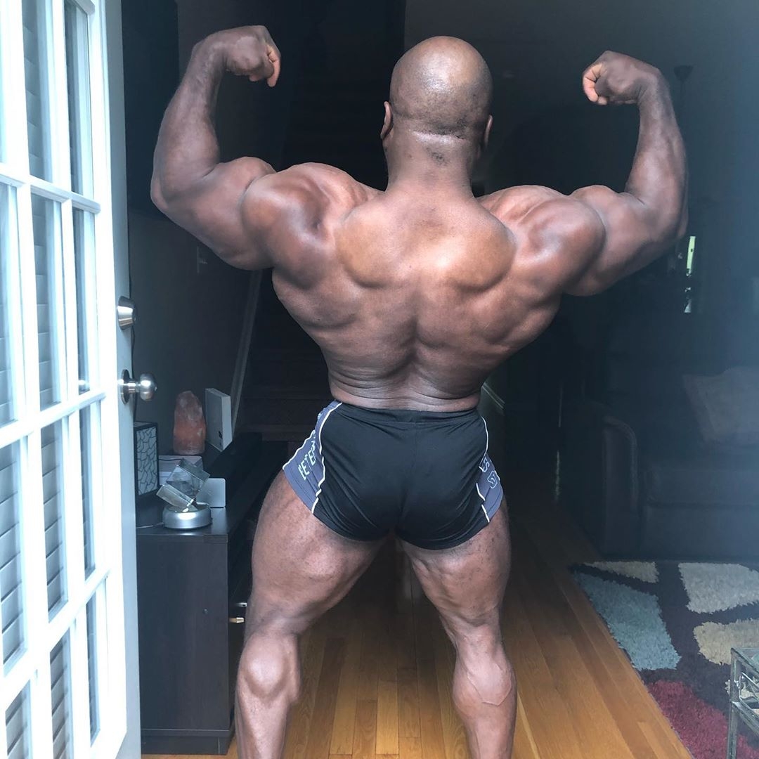 Shaun Clarida