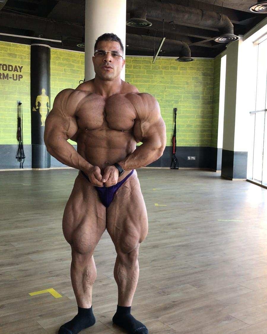 Hassan Mostafa